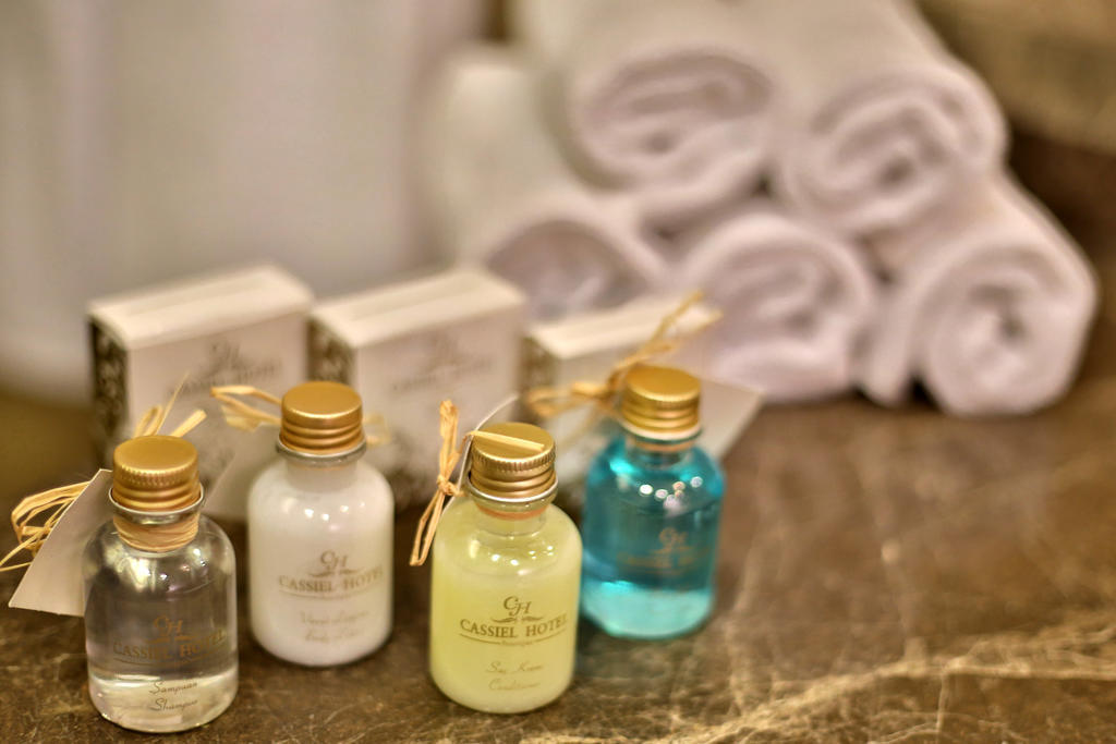 Cassiel Hotel Ankara Bilik gambar